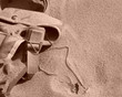action in normandy - part ii