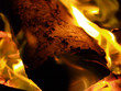 feuer
