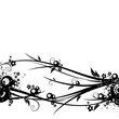 background illustration