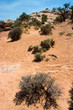 hiking through desert