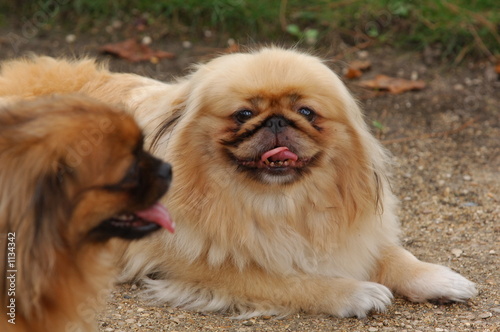 Photo: entre copains... entre copains...