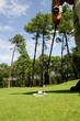 golf - putting