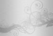 metal, silver background with ornament metal, silver background with ornament