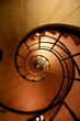 spiraling spiraling