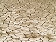 desert background