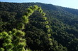 seja de selva vers machu picchu seja de selva vers machu picchu