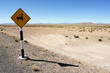 attention vicuñas!