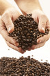 coffee grains coffee grains