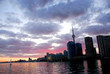 toronto city skyline