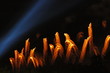 feu d'artifice2