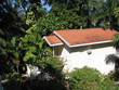 house among the trees