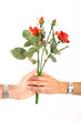 die liebe