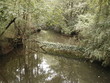 Photo: beautiful creek beautiful creek