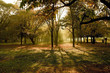 autumn 3