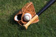 baseball