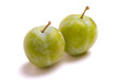 prunes reines claudes prunes reines claudes