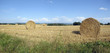 moisson 2