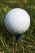 golf ball