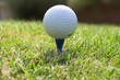 golf ball