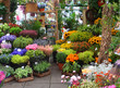 flower market