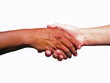 multicultural handshake - female hands multicultural handshake - female hands