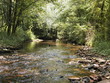 Photo: mars hill creek mars hill creek
