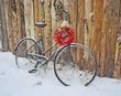 chillie peppers and a bike chillie peppers and a bike