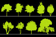 arbres pour coupes et élévations