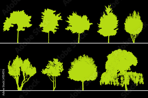 Illustration: arbres pour coupes et élévations arbres pour coupes et élévations