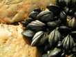 moules sur rocher