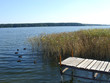 steg am see