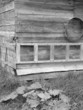 back of the woodshed