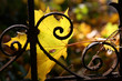 autumn melancholy autumn melancholy