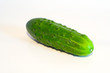 gurke ao_060823_2398.cr2 gurke ao_060823_2398.cr2