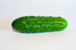 gurke ao_060823_2393.cr2 gurke ao_060823_2393.cr2