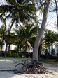 bike on beach
