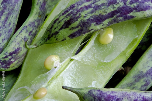 Photo: big green bean-pods big green bean-pods