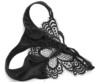 Photo : black panties black panties