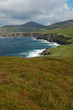 paysage marin