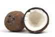 two cocunts wide with notches