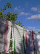 linge