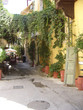 plante,rethymno