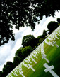 military cemetery