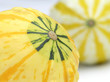 Photo: pumpkins pumpkins