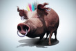 cochon rock