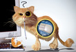 Photo en ligne au meilleur prix les chats aiment les souris