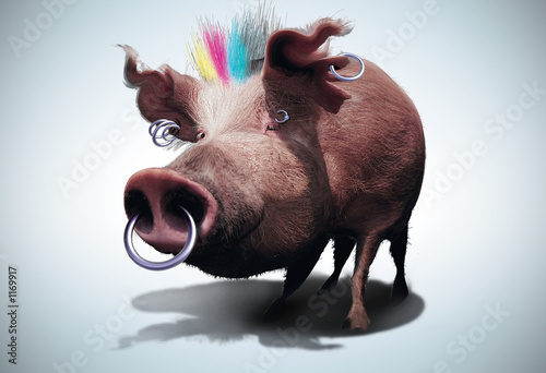 Illustration: cochon rock cochon rock