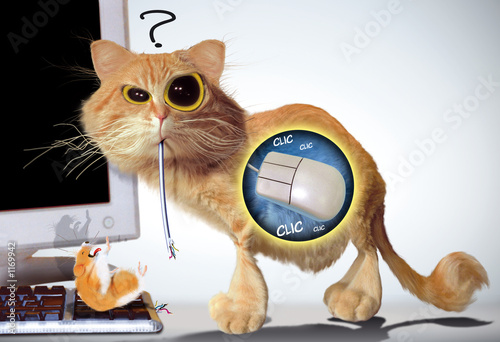 les chats aiment les souris