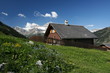 un chalet alpin