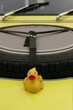 Photo: little yellow rubber duck little yellow rubber duck